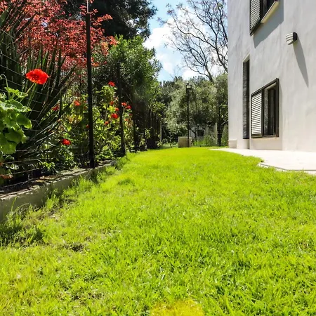 Vlachogiannis 2* Prínos