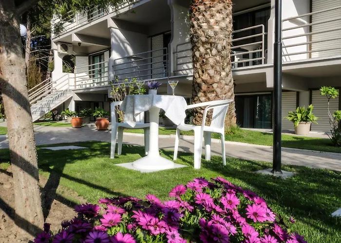 Vlachogiannis Prínos