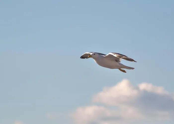 Hotel Vlachogiannis 2*