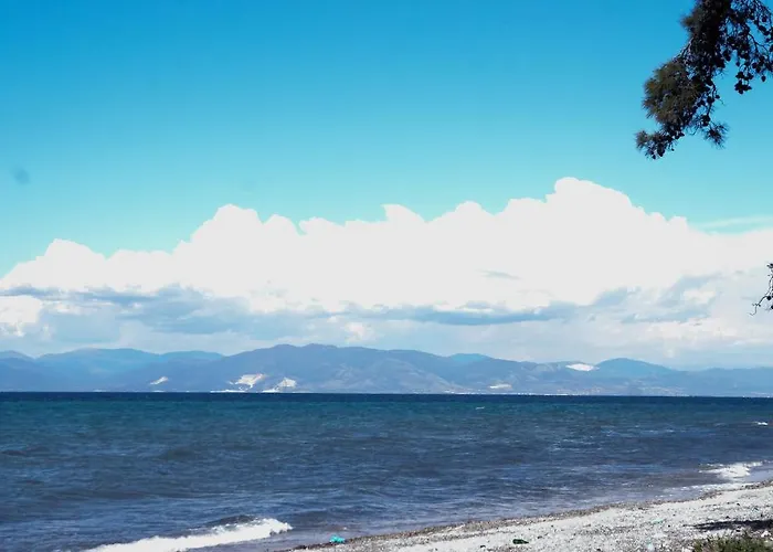 Vlachogiannis Prínos